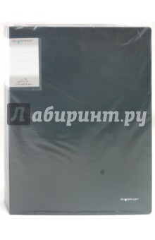 Папка 100 вкладышей Perlen 1,2 мм (291900-76) Папка 100 вкладышей Perlen 1,2 мм (291900-76)