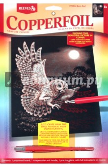 Гравюра медная "Сова" (PPCF42) Гравюра медная "Сова" (PPCF42)