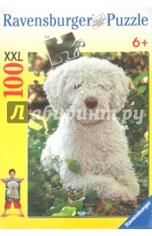 Паззл-100 "Собака Wasserhund" (108091) Паззл-100 "Собака Wasserhund" (108091)