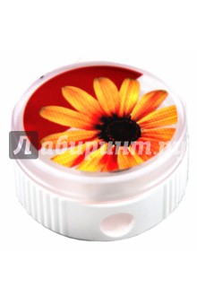 Точилка одинарная "Floral" ассортимент (K-206K1) Точилка одинарная "Floral" ассортимент (K-206K1)
