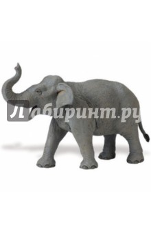 Азиатский слон (112389) Азиатский слон (112389)