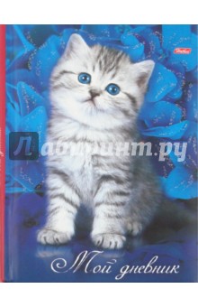 Мой дневник