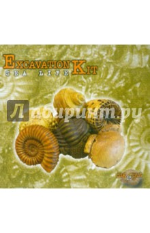 Набор откопай-ка: Trilobite" (Ф21-1161) Набор откопай-ка: Trilobite" (Ф21-1161)