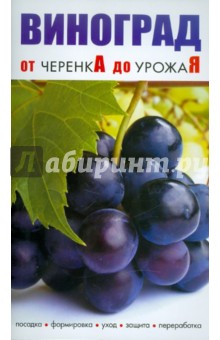 Виноград