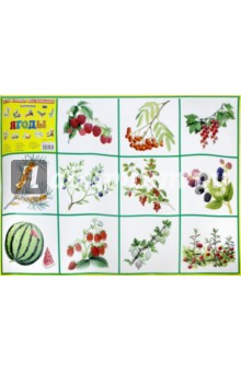 Плакат Ягоды (50х70 см)