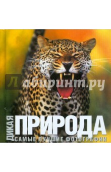 Гуаита, Банфи, Барделли - Дикая природа обложка книги Гуаита, Банфи, Барделли - Дикая природа обложка книги