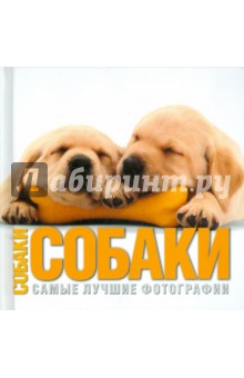 Вито Буоно - Собаки. Самые лучшие фотографии обложка книги Вито Буоно - Собаки. Самые лучшие фотографии обложка книги