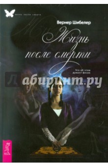 Жизнь после смерти. Что об этом думает физик - Вернер Шибелер