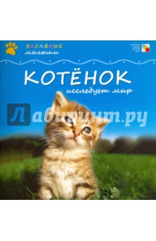Майкл Тейтелбаум - Котенок исследует мир обложка книги Майкл Тейтелбаум - Котенок исследует мир обложка книги