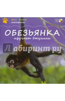 Майкл Тейтелбаум - Обезьянка изучает джунгли обложка книги Майкл Тейтелбаум - Обезьянка изучает джунгли обложка книги
