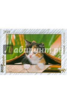 Step Puzzle-260 "Котенок" (74052) Step Puzzle-260 "Котенок" (74052)