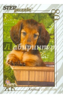 Step Puzzle-80 Золотая серия-10 (77010) Step Puzzle-80 Золотая серия-10 (77010)