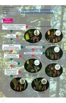 Определитель деревьев в весенне-летний период - Боголюбов, Жданова, Лазарева, Васюкова