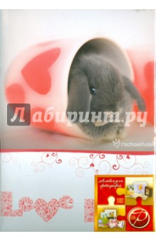 Фотоальбом на 100 фотографий "Love" (LM-4R100CPPM) Фотоальбом на 100 фотографий "Love" (LM-4R100CPPM)