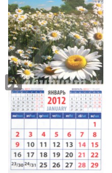 Календарь на 2012 год. "Ромашки" (20218) Календарь на 2012 год. "Ромашки" (20218)