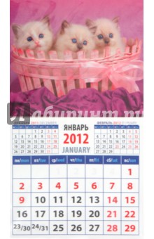 Календарь на 2012 год. "Забавние котята" (20221) Календарь на 2012 год. "Забавние котята" (20221)