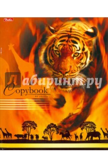 Тетрадь общая "Саванна" (80 листов, линейка, А5) (80Т5С2) Тетрадь общая "Саванна" (80 листов, линейка, А5) (80Т5С2)