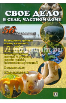 Свое дело в селе, частном доме. 56 предложений