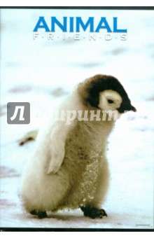 Тетрадь 80 листов, А4, клетка "Animal friends" (35511) Тетрадь 80 листов, А4, клетка "Animal friends" (35511)