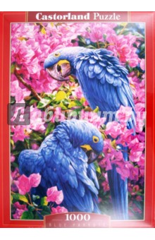 Puzzle-1000 "Попугаи" (C-102242) Puzzle-1000 "Попугаи" (C-102242)