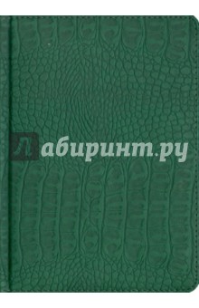 Ежедневник полудатированный 384 страницы, А5, зеленый (22909) Ежедневник полудатированный 384 страницы, А5, зеленый (22909)