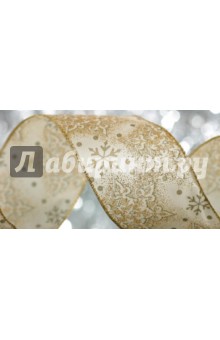 Лента тканая нейлоновая 3м/6см (19365) Лента тканая нейлоновая 3м/6см (19365)