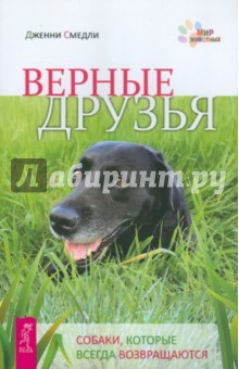Дженни Смедли - Верные друзья. Собаки, которые всегда возвращаются обложка книги Дженни Смедли - Верные друзья. Собаки, которые всегда возвращаются обложка книги