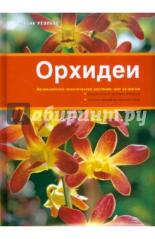 Франк Релльке - Орхидеи обложка книги Франк Релльке - Орхидеи обложка книги