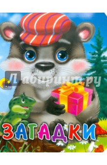 Загадки обложка книги Загадки обложка книги