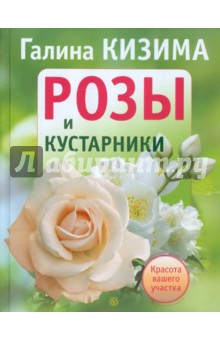 Галина Кизима - Розы и кустарники. Красота вашего участка обложка книги Галина Кизима - Розы и кустарники. Красота вашего участка обложка книги