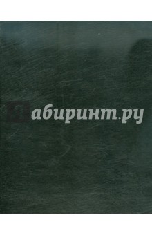 Тетради А5 на кольцах "Черный (балакрон)" (ПБ1602) Тетради А5 на кольцах "Черный (балакрон)" (ПБ1602)