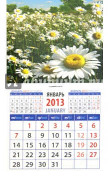 Календарь 2013 "Ромашки" (20318) Календарь 2013 "Ромашки" (20318)