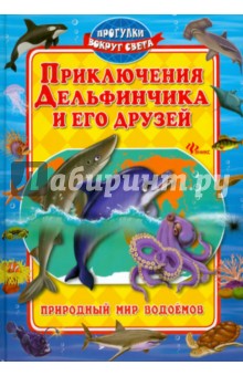 Синичкин, Конфеткина - Приключения Дельфинчика и его друзей обложка книги Синичкин, Конфеткина - Приключения Дельфинчика и его друзей обложка книги
