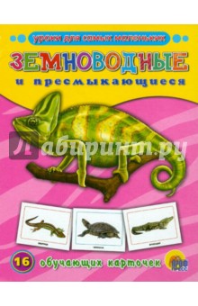 Обучающие карточки. Земноводные и пресмыкающиеся обложка книги Обучающие карточки. Земноводные и пресмыкающиеся обложка книги