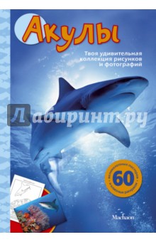 Эмма Сэл - Акулы обложка книги Эмма Сэл - Акулы обложка книги
