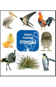 Такие разные птицы обложка книги Такие разные птицы обложка книги