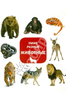 Такие разные животные обложка книги