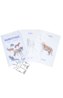 Тамара Шапошникова - Животные. Книга + карточки обложка книги Тамара Шапошникова - Животные. Книга + карточки обложка книги