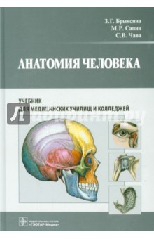 Сапин анатомия pdf