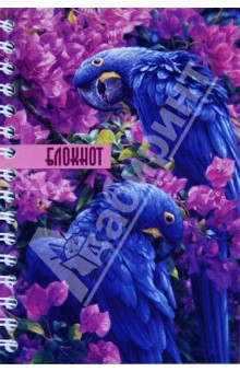 Блокнот "Попугаи" 80 листов, А6 (28980) Блокнот "Попугаи" 80 листов, А6 (28980)