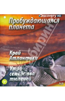 Дэвид Коновер - Пробуждающаяся планета: Край Атлантики. Утро семейства тюленей (Blu-Ray) Дэвид Коновер - Пробуждающаяся планета: Край Атлантики. Утро семейства тюленей (Blu-Ray)