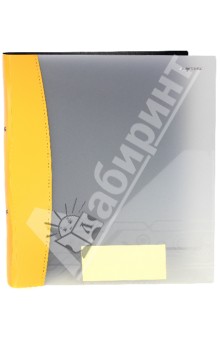 Папка на 2-х кольцах. DISCOVERY. Цвет: охра (255050-26) Папка на 2-х кольцах. DISCOVERY. Цвет: охра (255050-26)