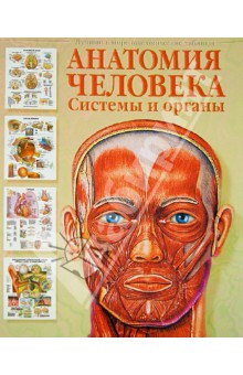 Сапин анатомия скачать Сапин анатомия скачать