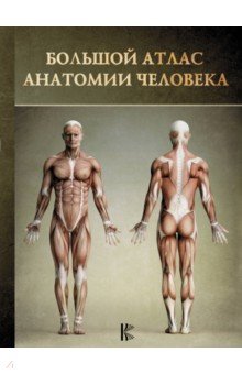 Большой атлас анатомии человека