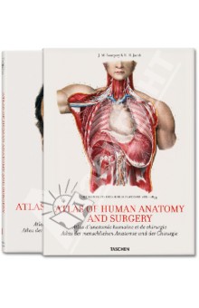 Bourgery. Atlas of Human Anatomy and Surgery - Le, Sick