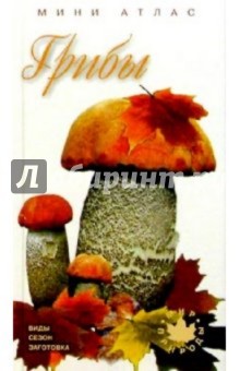 Грибы обложка книги Грибы обложка книги