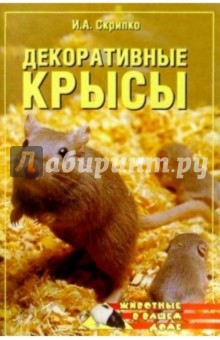 Ирина Скрипко - Декоративные крысы обложка книги Ирина Скрипко - Декоративные крысы обложка книги