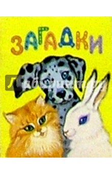 Загадки обложка книги Загадки обложка книги
