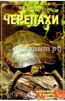 Юлия Сергеенко - Черепахи обложка книги Юлия Сергеенко - Черепахи обложка книги
