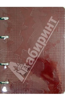 Тетрадь "Shadow". С кольцевым механизмом. А5. 150 листов (N215) Тетрадь "Shadow". С кольцевым механизмом. А5. 150 листов (N215)